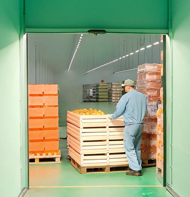 Manutention de produits frais dans un entrepôt à température contrôlée.